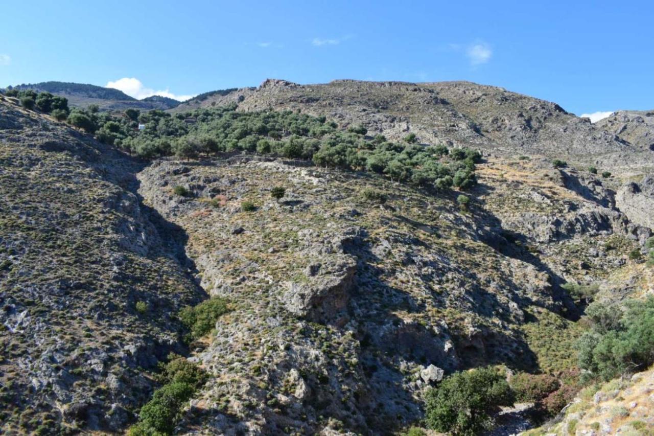 Mesohori Studios Sfakia Luaran gambar