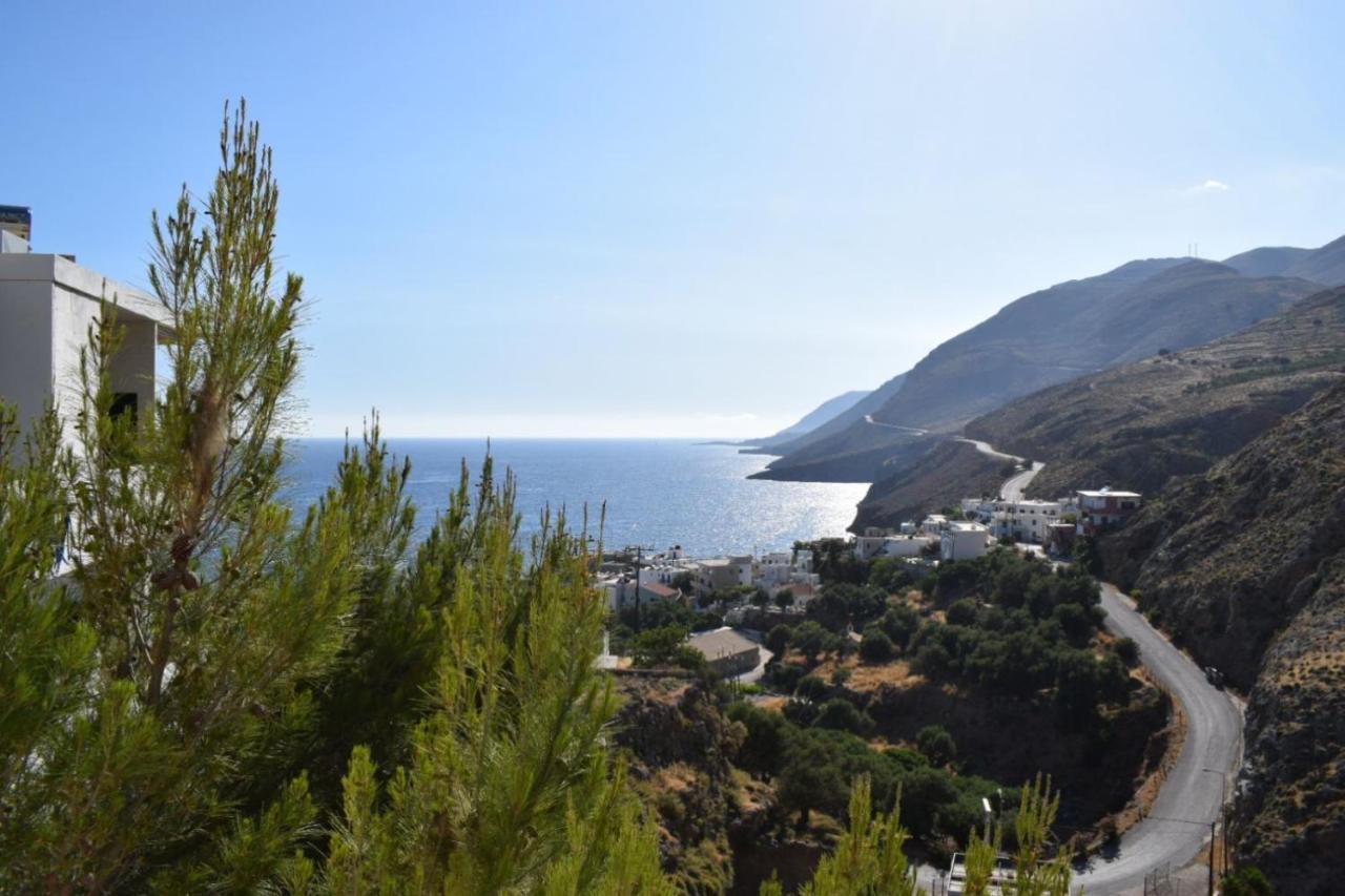 Mesohori Studios Sfakia Luaran gambar